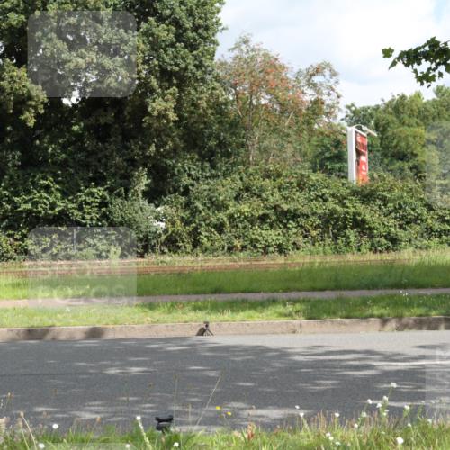 10.08.2025 - GEWOBA Citytriathlon Bremen Yannick Fuchs http://msf.ph/oto/8565214 10.08.2025 12:01:25 Radfahren 553 meine-sportfotos.de