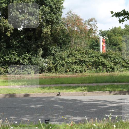 10.08.2025 - GEWOBA Citytriathlon Bremen Yannick Fuchs http://msf.ph/oto/8565216 10.08.2025 12:01:27 Radfahren 553 meine-sportfotos.de