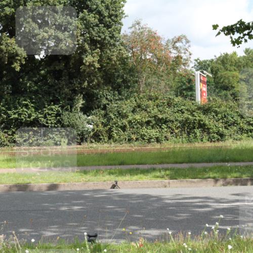 10.08.2025 - GEWOBA Citytriathlon Bremen Yannick Fuchs http://msf.ph/oto/8565218 10.08.2025 12:01:30 Radfahren 553 meine-sportfotos.de