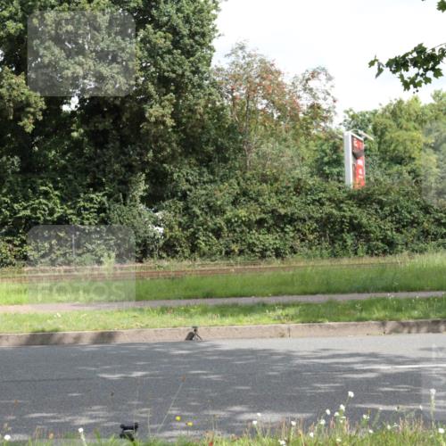 10.08.2025 - GEWOBA Citytriathlon Bremen Yannick Fuchs http://msf.ph/oto/8565351 10.08.2025 12:05:06 Radfahren 690, 701 meine-sportfotos.de