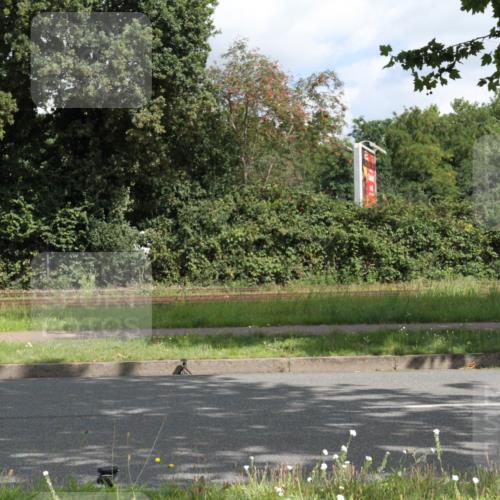 10.08.2025 - GEWOBA Citytriathlon Bremen Yannick Fuchs http://msf.ph/oto/8565588 10.08.2025 12:08:45 Radfahren 597, 603, 608, 619, 672, 677, 684, 737, 797, 850, 883 meine-sportfotos.de