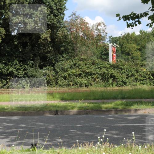 10.08.2025 - GEWOBA Citytriathlon Bremen Yannick Fuchs http://msf.ph/oto/8568188 10.08.2025 12:54:23 Radfahren 580, 582, 618, 707, 740, 750, 789, 826 meine-sportfotos.de