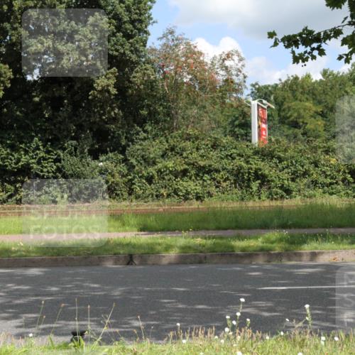 10.08.2025 - GEWOBA Citytriathlon Bremen Yannick Fuchs http://msf.ph/oto/8568190 10.08.2025 12:54:23 Radfahren 580, 582, 618, 707, 740, 750, 789, 826 meine-sportfotos.de