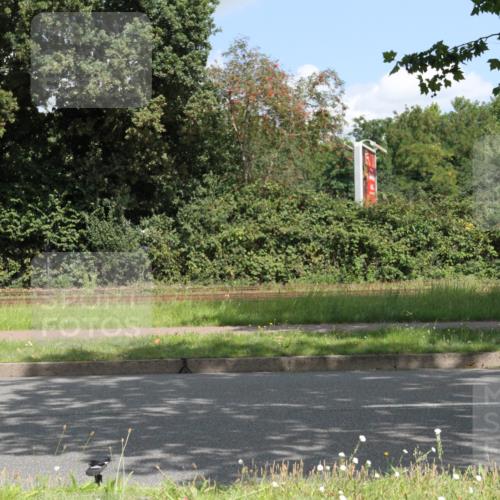 10.08.2025 - GEWOBA Citytriathlon Bremen Yannick Fuchs http://msf.ph/oto/8568671 10.08.2025 13:02:45 Radfahren 647, 661, 712, 911, 955, 1020 meine-sportfotos.de