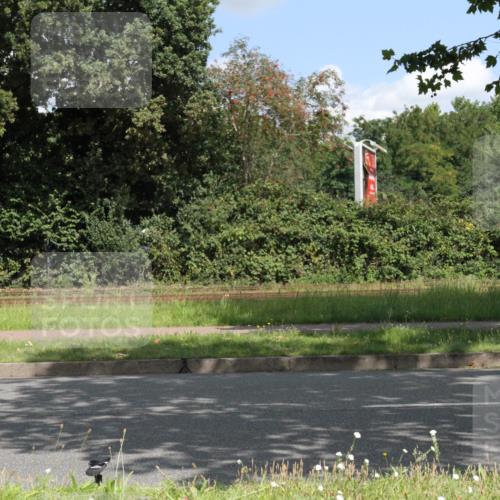 10.08.2025 - GEWOBA Citytriathlon Bremen Yannick Fuchs http://msf.ph/oto/8568696 10.08.2025 13:03:05 Radfahren 651, 668, 693, 898, 945, 1020 meine-sportfotos.de