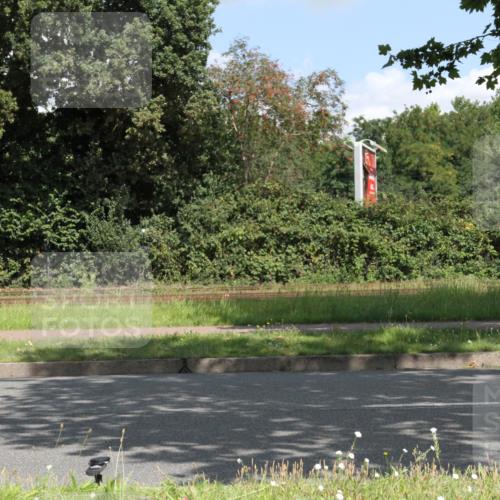 10.08.2025 - GEWOBA Citytriathlon Bremen Yannick Fuchs http://msf.ph/oto/8568820 10.08.2025 13:04:05 Radfahren 574, 576, 605, 625, 640, 676, 685, 697, 760, 769, 786, 946, 960, 963, 965, 1013, 1036 meine-sportfotos.de