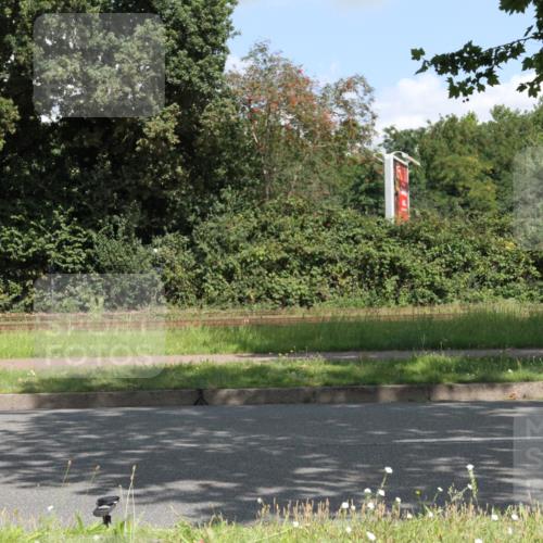 10.08.2025 - GEWOBA Citytriathlon Bremen Yannick Fuchs http://msf.ph/oto/8568822 10.08.2025 13:04:05 Radfahren 574, 576, 605, 625, 640, 676, 685, 697, 760, 769, 786, 946, 960, 963, 965, 1013, 1036 meine-sportfotos.de