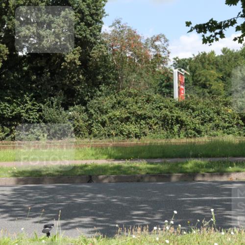 10.08.2025 - GEWOBA Citytriathlon Bremen Yannick Fuchs http://msf.ph/oto/8568825 10.08.2025 13:04:06 Radfahren 574, 576, 605, 625, 640, 676, 685, 697, 760, 769, 786, 946, 960, 963, 965, 1013, 1036 meine-sportfotos.de