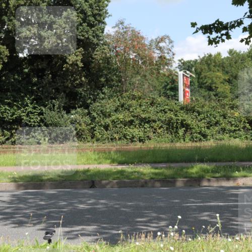 10.08.2025 - GEWOBA Citytriathlon Bremen Yannick Fuchs http://msf.ph/oto/8568830 10.08.2025 13:04:08 Radfahren 574, 576, 605, 625, 640, 685, 697, 760, 769, 786, 946, 960, 963, 965, 1013, 1036 meine-sportfotos.de