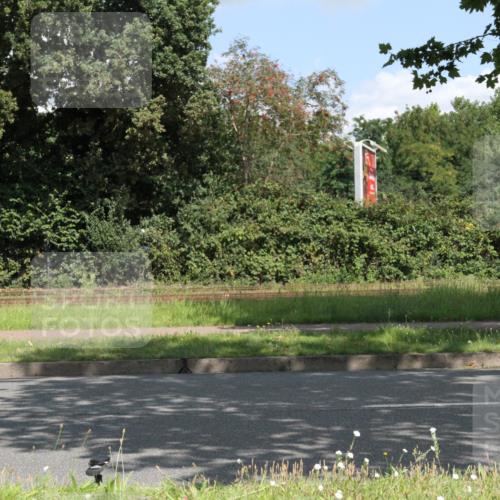 10.08.2025 - GEWOBA Citytriathlon Bremen Yannick Fuchs http://msf.ph/oto/8568850 10.08.2025 13:04:15 Radfahren 576, 605, 625, 640, 674, 697, 760, 769, 786, 799, 946, 960, 963, 1013, 1036 meine-sportfotos.de