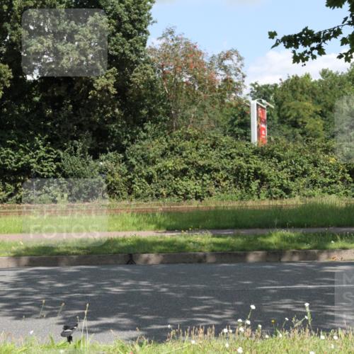 10.08.2025 - GEWOBA Citytriathlon Bremen Yannick Fuchs http://msf.ph/oto/8568851 10.08.2025 13:04:15 Radfahren 576, 605, 625, 640, 674, 697, 760, 769, 786, 799, 946, 960, 963, 1013, 1036 meine-sportfotos.de