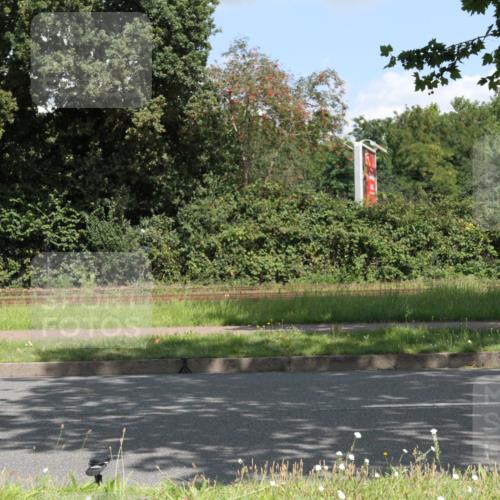 10.08.2025 - GEWOBA Citytriathlon Bremen Yannick Fuchs http://msf.ph/oto/8568868 10.08.2025 13:04:21 Radfahren 640, 674, 697, 751, 760, 769, 786, 799, 875, 946, 960, 963, 1013, 1036 meine-sportfotos.de