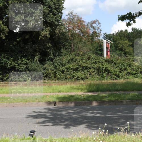 10.08.2025 - GEWOBA Citytriathlon Bremen Yannick Fuchs http://msf.ph/oto/8569424 10.08.2025 13:28:55 Radfahren  meine-sportfotos.de