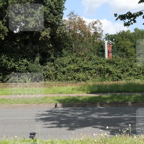 10.08.2025 - GEWOBA Citytriathlon Bremen Yannick Fuchs http://msf.ph/oto/8569457 10.08.2025 13:32:58 Radfahren  meine-sportfotos.de