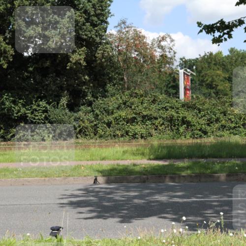 10.08.2025 - GEWOBA Citytriathlon Bremen Yannick Fuchs http://msf.ph/oto/8569458 10.08.2025 13:32:58 Radfahren  meine-sportfotos.de