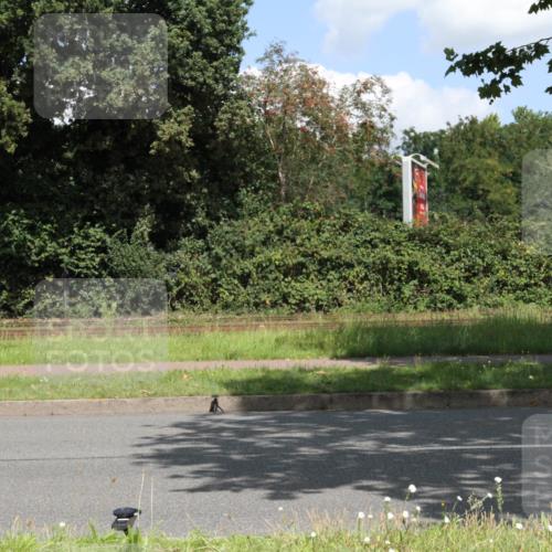 10.08.2025 - GEWOBA Citytriathlon Bremen Yannick Fuchs http://msf.ph/oto/8569459 10.08.2025 13:32:59 Radfahren  meine-sportfotos.de
