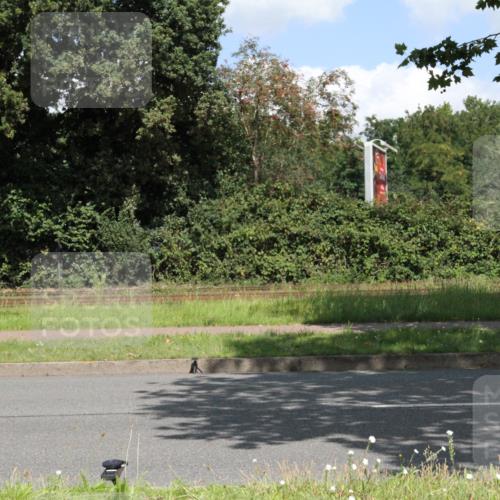 10.08.2025 - GEWOBA Citytriathlon Bremen Yannick Fuchs http://msf.ph/oto/8569479 10.08.2025 13:34:53 Radfahren  meine-sportfotos.de