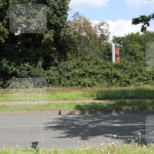 10.08.2025 - GEWOBA Citytriathlon Bremen Yannick Fuchs http://msf.ph/oto/8569480 10.08.2025 13:34:56 Radfahren  meine-sportfotos.de