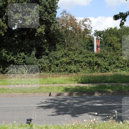 10.08.2025 - GEWOBA Citytriathlon Bremen Yannick Fuchs http://msf.ph/oto/8569481 10.08.2025 13:34:57 Radfahren  meine-sportfotos.de