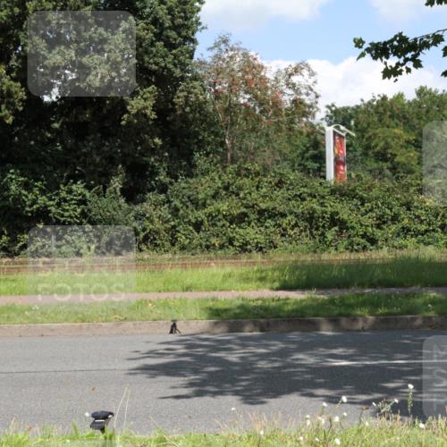 10.08.2025 - GEWOBA Citytriathlon Bremen Yannick Fuchs http://msf.ph/oto/8569482 10.08.2025 13:35:04 Radfahren  meine-sportfotos.de