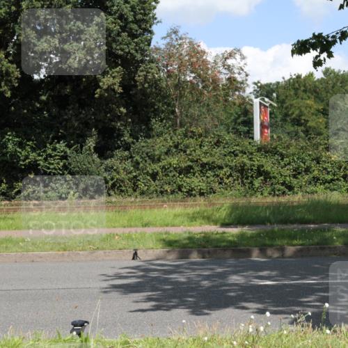 10.08.2025 - GEWOBA Citytriathlon Bremen Yannick Fuchs http://msf.ph/oto/8569484 10.08.2025 13:35:12 Radfahren 602 meine-sportfotos.de