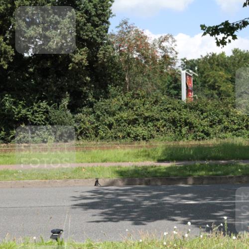 10.08.2025 - GEWOBA Citytriathlon Bremen Yannick Fuchs http://msf.ph/oto/8569488 10.08.2025 13:35:22 Radfahren 602 meine-sportfotos.de