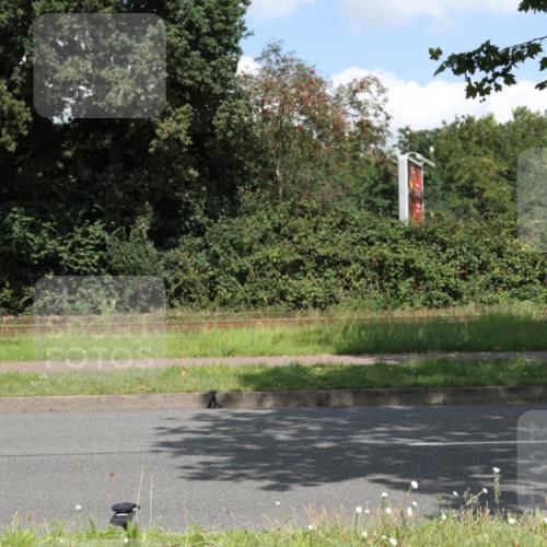 10.08.2025 - GEWOBA Citytriathlon Bremen Yannick Fuchs http://msf.ph/oto/8569495 10.08.2025 13:36:57 Radfahren  meine-sportfotos.de