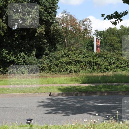 10.08.2025 - GEWOBA Citytriathlon Bremen Yannick Fuchs http://msf.ph/oto/8569519 10.08.2025 13:37:33 Radfahren  meine-sportfotos.de