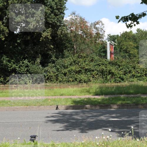 10.08.2025 - GEWOBA Citytriathlon Bremen Yannick Fuchs http://msf.ph/oto/8569524 10.08.2025 13:37:38 Radfahren  meine-sportfotos.de
