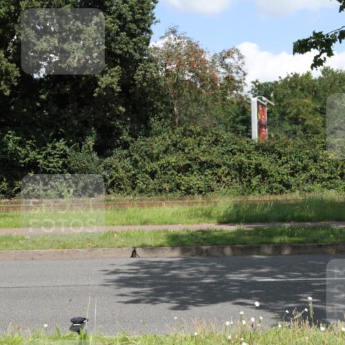 10.08.2025 - GEWOBA Citytriathlon Bremen Yannick Fuchs http://msf.ph/oto/8569529 10.08.2025 13:37:42 Radfahren  meine-sportfotos.de