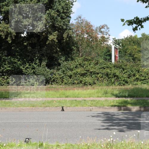 10.08.2025 - GEWOBA Citytriathlon Bremen Yannick Fuchs http://msf.ph/oto/8569567 10.08.2025 14:09:42 Radfahren 49 meine-sportfotos.de