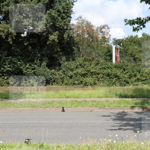 10.08.2025 - GEWOBA Citytriathlon Bremen Yannick Fuchs http://msf.ph/oto/8569849 10.08.2025 14:15:08 Radfahren 15, 76, 82, 88, 108, 133, 146, 151, 226 meine-sportfotos.de