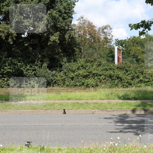 10.08.2025 - GEWOBA Citytriathlon Bremen Yannick Fuchs http://msf.ph/oto/8569851 10.08.2025 14:15:09 Radfahren 15, 45, 55, 76, 82, 88, 108, 133, 146, 151, 226 meine-sportfotos.de