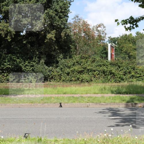 10.08.2025 - GEWOBA Citytriathlon Bremen Yannick Fuchs http://msf.ph/oto/8569950 10.08.2025 14:16:12 Radfahren 2, 23, 24, 38, 43, 46, 48, 62, 63, 65, 92, 129 meine-sportfotos.de