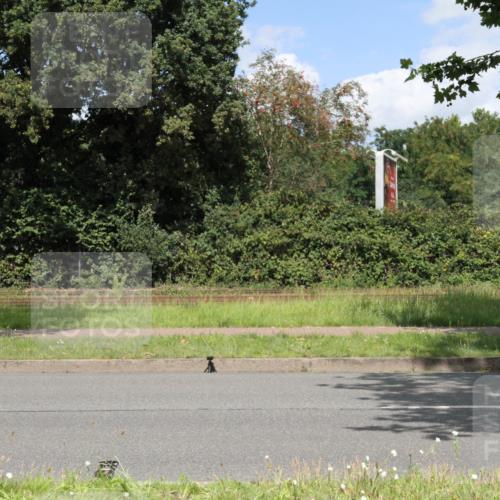 10.08.2025 - GEWOBA Citytriathlon Bremen Yannick Fuchs http://msf.ph/oto/8570147 10.08.2025 14:18:29 Radfahren 47, 75, 94, 100, 131, 147, 255, 295, 314 meine-sportfotos.de