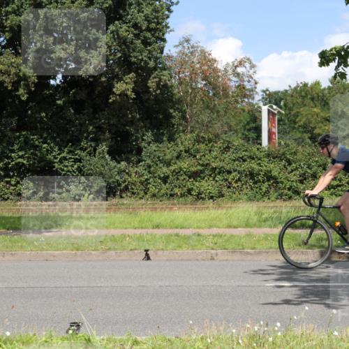 10.08.2025 - GEWOBA Citytriathlon Bremen Yannick Fuchs http://msf.ph/oto/8570205 10.08.2025 14:19:24 Radfahren 84, 124, 126, 162, 201, 227, 239, 254 meine-sportfotos.de