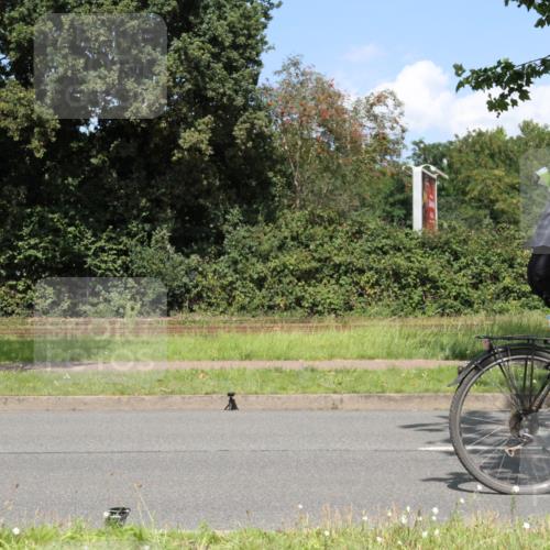 10.08.2025 - GEWOBA Citytriathlon Bremen Yannick Fuchs http://msf.ph/oto/8570290 10.08.2025 14:20:36 Radfahren 11, 28, 35, 67, 69, 80, 216, 229, 272, 274, 281, 312 meine-sportfotos.de