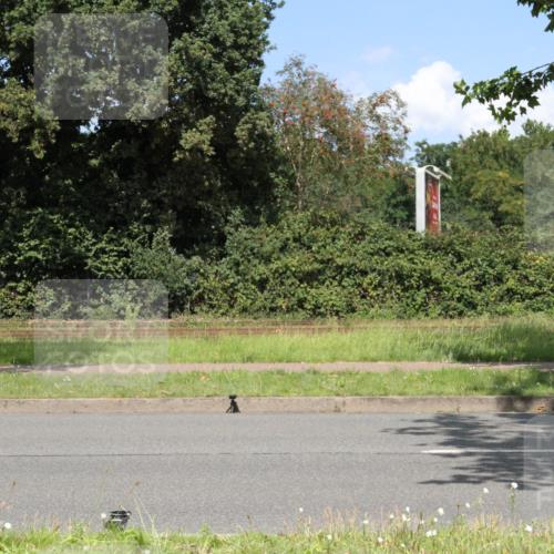 10.08.2025 - GEWOBA Citytriathlon Bremen Yannick Fuchs http://msf.ph/oto/8570305 10.08.2025 14:20:50 Radfahren 11, 56, 61, 69, 73, 110, 142, 145, 157, 191, 216, 229, 266, 272, 281, 312 meine-sportfotos.de