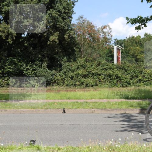 10.08.2025 - GEWOBA Citytriathlon Bremen Yannick Fuchs http://msf.ph/oto/8570307 10.08.2025 14:20:52 Radfahren 11, 19, 56, 61, 69, 73, 110, 142, 145, 157, 191, 216, 229, 266, 272, 281, 312 meine-sportfotos.de