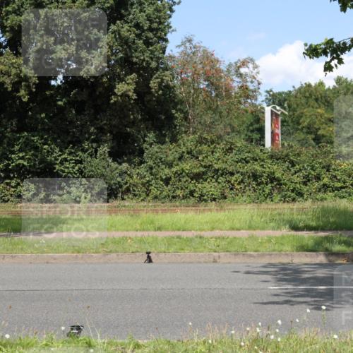 10.08.2025 - GEWOBA Citytriathlon Bremen Yannick Fuchs http://msf.ph/oto/8570335 10.08.2025 14:21:19 Radfahren 6, 177 meine-sportfotos.de