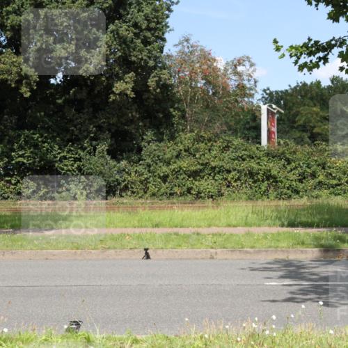 10.08.2025 - GEWOBA Citytriathlon Bremen Yannick Fuchs http://msf.ph/oto/8570513 10.08.2025 14:23:45 Radfahren 128, 158, 205, 234 meine-sportfotos.de