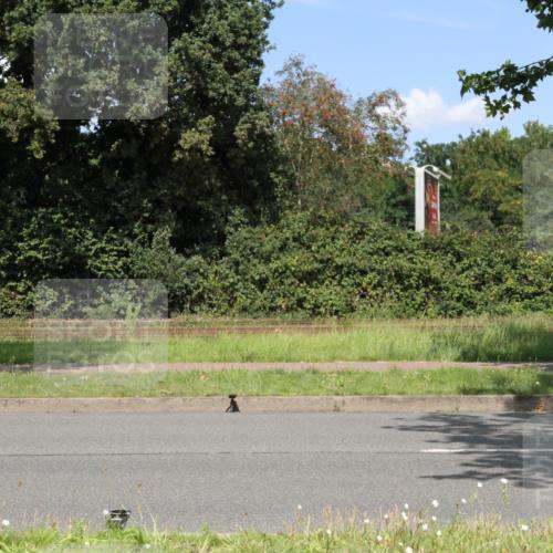 10.08.2025 - GEWOBA Citytriathlon Bremen Yannick Fuchs http://msf.ph/oto/8570601 10.08.2025 14:25:22 Radfahren 49, 85, 208, 267, 270, 323, 326, 336, 462, 479 meine-sportfotos.de