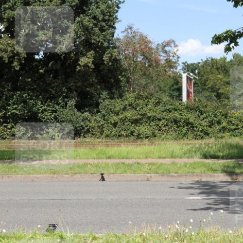 10.08.2025 - GEWOBA Citytriathlon Bremen Yannick Fuchs http://msf.ph/oto/8570617 10.08.2025 14:25:43 Radfahren 167, 499 meine-sportfotos.de