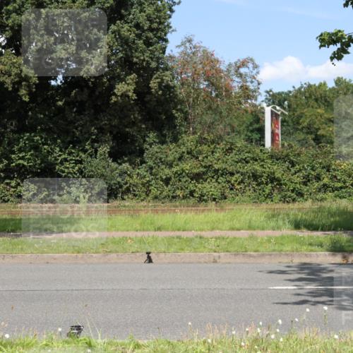 10.08.2025 - GEWOBA Citytriathlon Bremen Yannick Fuchs http://msf.ph/oto/8570663 10.08.2025 14:26:05 Radfahren 181, 220, 231, 273, 278, 325, 331, 446 meine-sportfotos.de