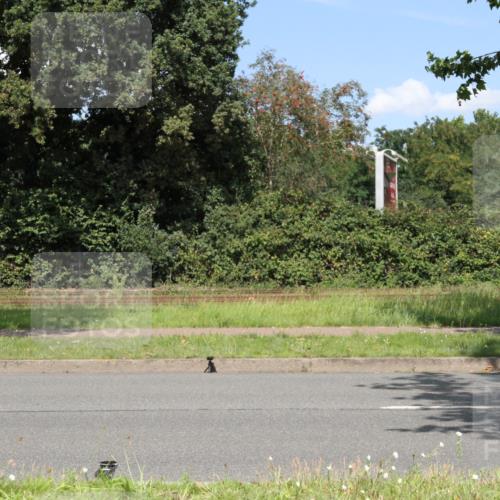 10.08.2025 - GEWOBA Citytriathlon Bremen Yannick Fuchs http://msf.ph/oto/8570665 10.08.2025 14:26:06 Radfahren 181, 220, 231, 273, 278, 325, 331, 446 meine-sportfotos.de