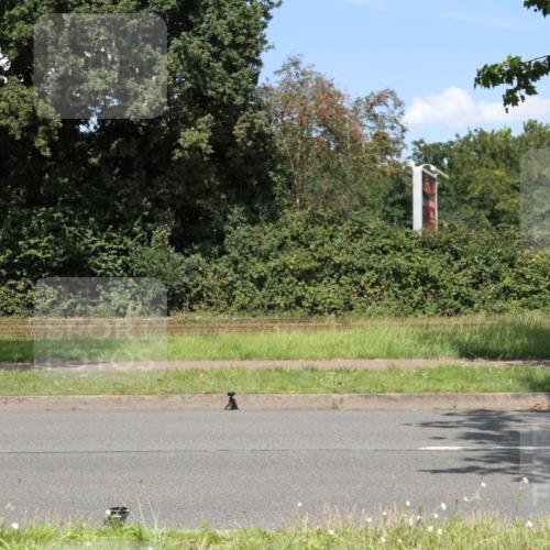 10.08.2025 - GEWOBA Citytriathlon Bremen Yannick Fuchs http://msf.ph/oto/8570667 10.08.2025 14:26:06 Radfahren 181, 220, 231, 273, 278, 325, 331, 446 meine-sportfotos.de