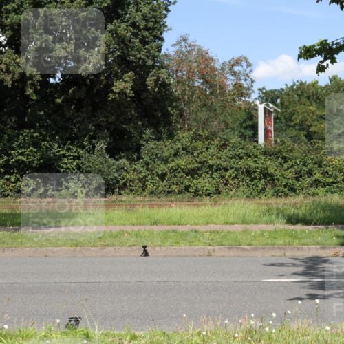 10.08.2025 - GEWOBA Citytriathlon Bremen Yannick Fuchs http://msf.ph/oto/8570671 10.08.2025 14:26:08 Radfahren 181, 220, 231, 273, 278, 325, 331, 446 meine-sportfotos.de