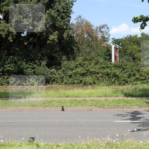 10.08.2025 - GEWOBA Citytriathlon Bremen Yannick Fuchs http://msf.ph/oto/8570677 10.08.2025 14:26:10 Radfahren 181, 220, 231, 273, 278, 325, 331 meine-sportfotos.de