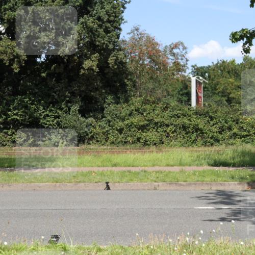 10.08.2025 - GEWOBA Citytriathlon Bremen Yannick Fuchs http://msf.ph/oto/8570682 10.08.2025 14:26:11 Radfahren 181, 220, 231, 273, 278, 325, 331 meine-sportfotos.de