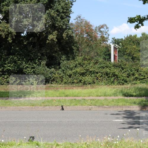 10.08.2025 - GEWOBA Citytriathlon Bremen Yannick Fuchs http://msf.ph/oto/8570698 10.08.2025 14:26:17 Radfahren 220, 231, 278, 325, 360, 404 meine-sportfotos.de